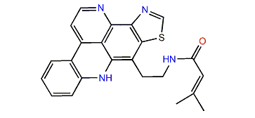Dehydrokuanoniamine B